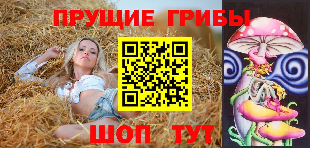 Псилоцибиновые грибы Psilocybe  что такое наркотик  Вход с VPN  Заринск  Псилоцибиновые грибы Psilocybine cubensis 
